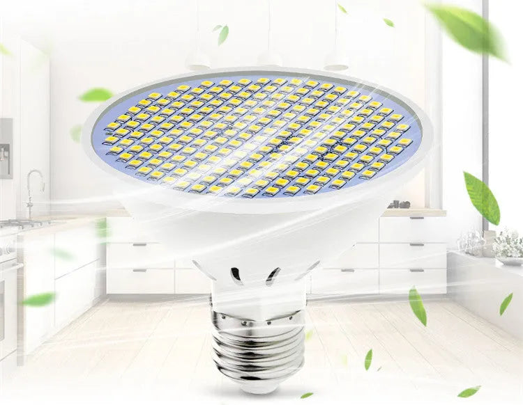E27 screw-in LED lamp cup bulb shown in warm white and cool white options.