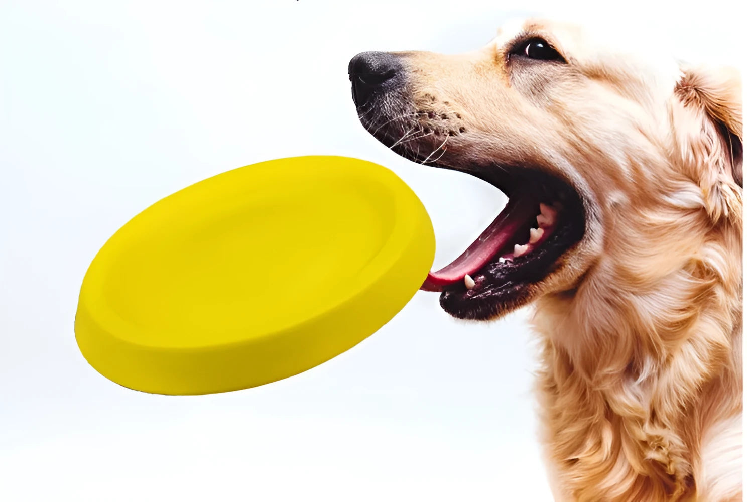 Yellow EVA dog throwing toy weighing 70g for training and interactive play