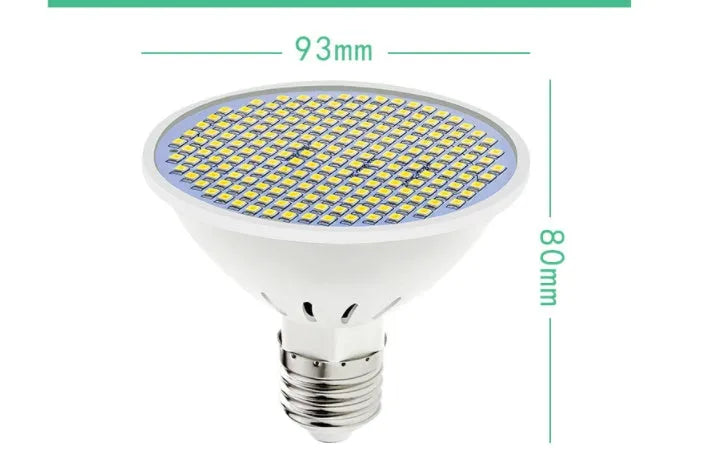 E27 screw-in LED lamp cup bulb shown in warm white and cool white options.