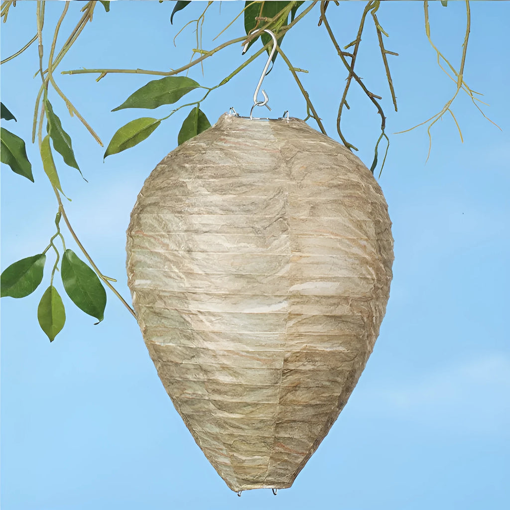 Photo colour honeycomb paper lantern with wire frame, 22cm by 28cm.
