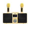 Black or gold Bluetooth karaoke speaker with two wireless microphones on charging stand