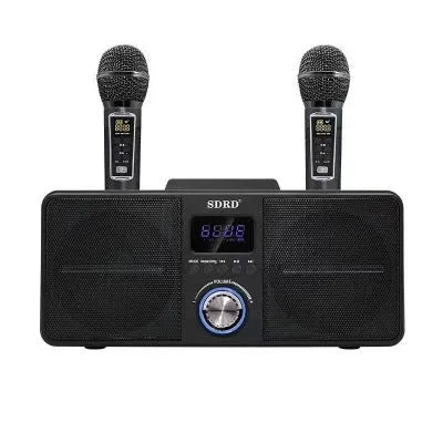 Black or gold Bluetooth karaoke speaker with two wireless microphones on charging stand