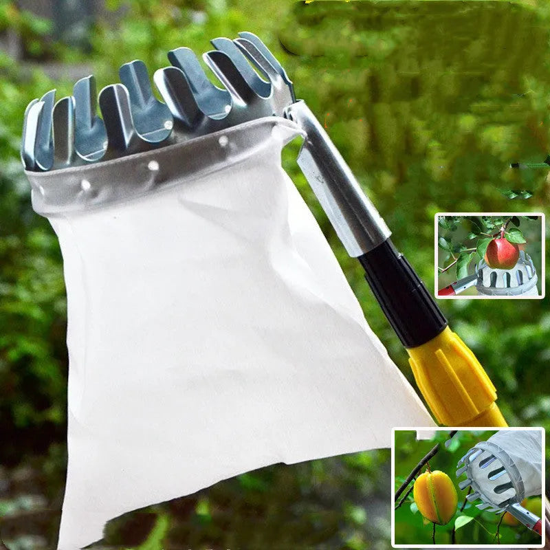 Orange fruit picker with steel frame and cloth bag for harvesting citrus and pears