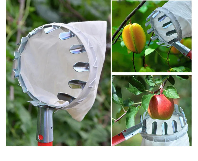 Orange fruit picker with steel frame and cloth bag for harvesting citrus and pears