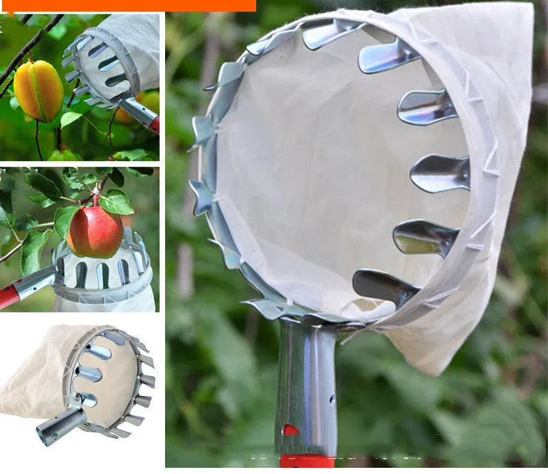 Orange fruit picker with steel frame and cloth bag for harvesting citrus and pears