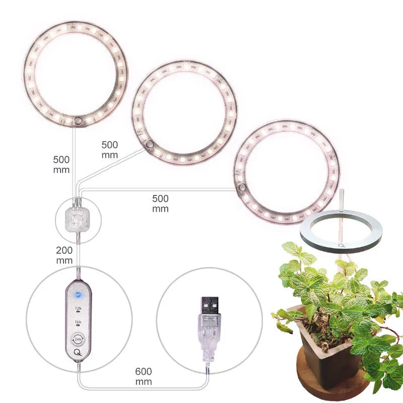 USB Angel Ring LED full spectrum grow light for indoor plants on a desk.