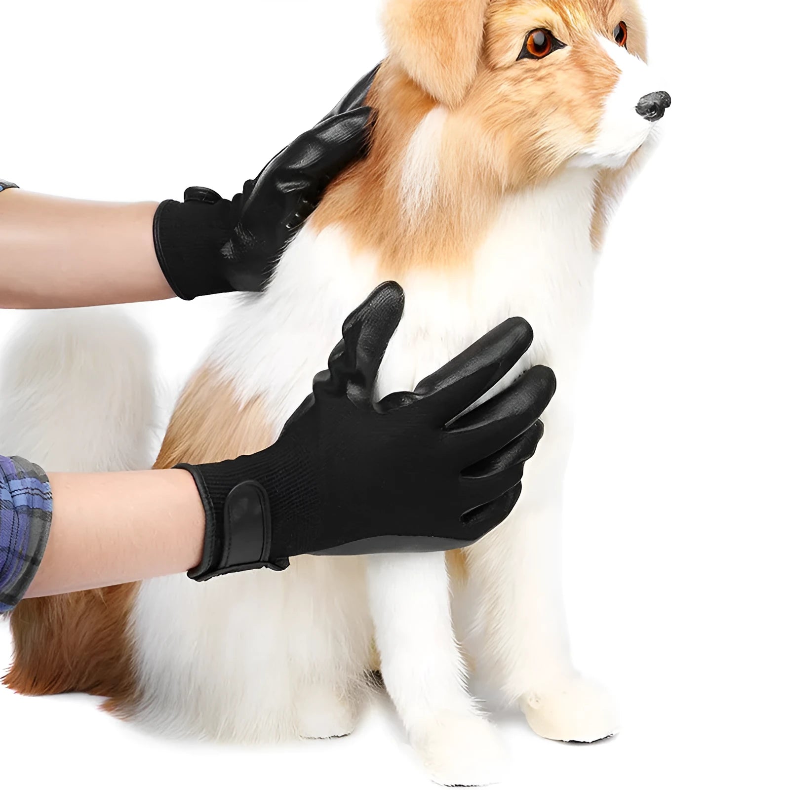 Pet hair grooming glove in black rubber with adjustable wrist strap on a light background