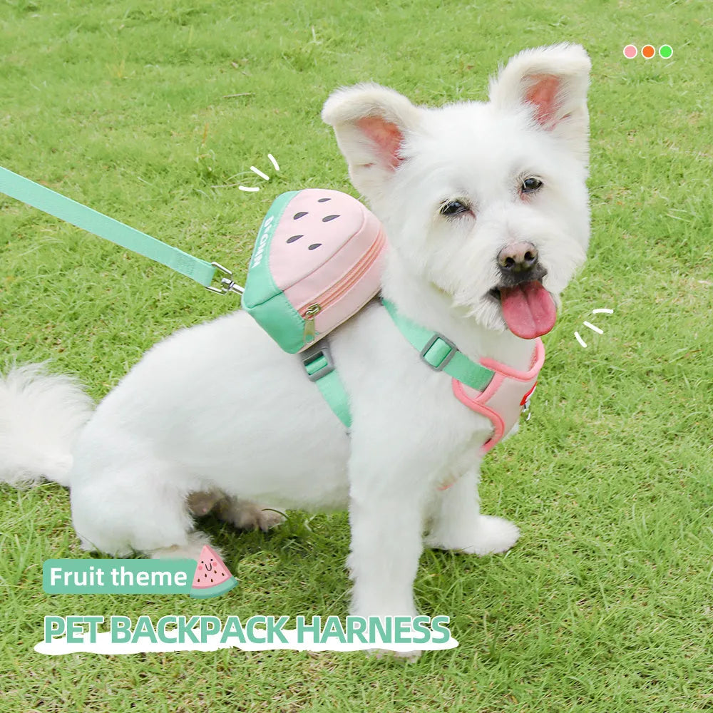 Pet chest strap and backpack set with anti-slip traction rope for dogs and cats
