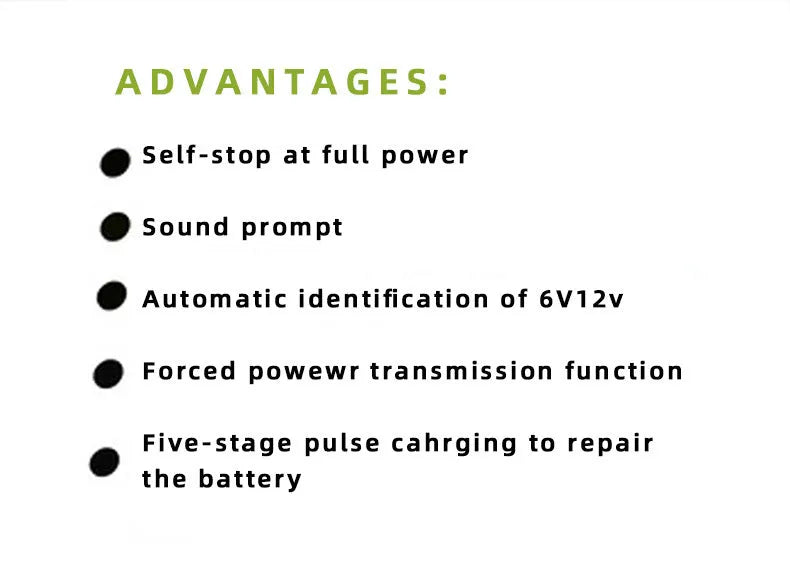 BT 168 car battery charger for 12V and 24V lead acid automotive batteries with US plug