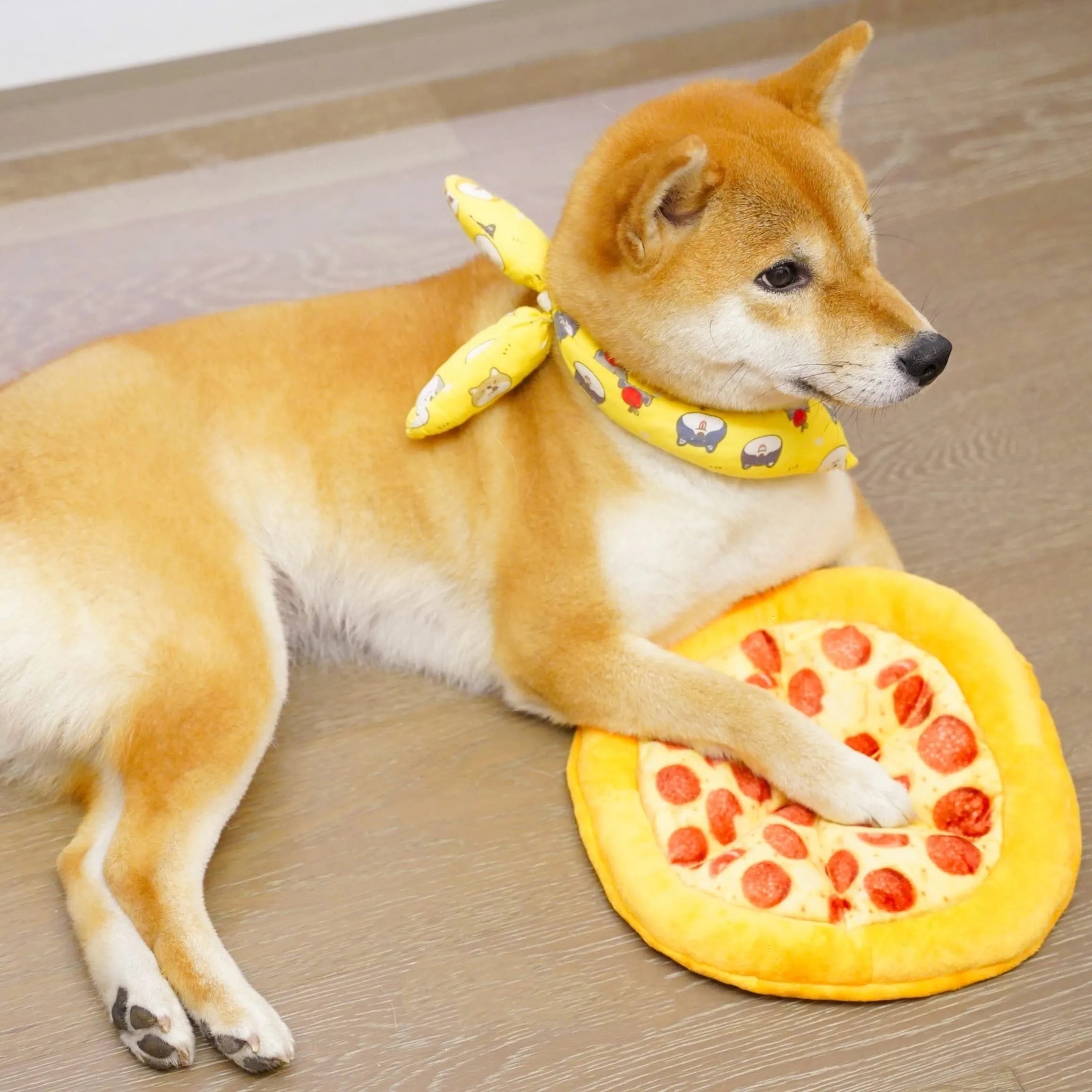 Yellow pizza slice shaped squeaky dog chew toy made from soft teddy fabric.