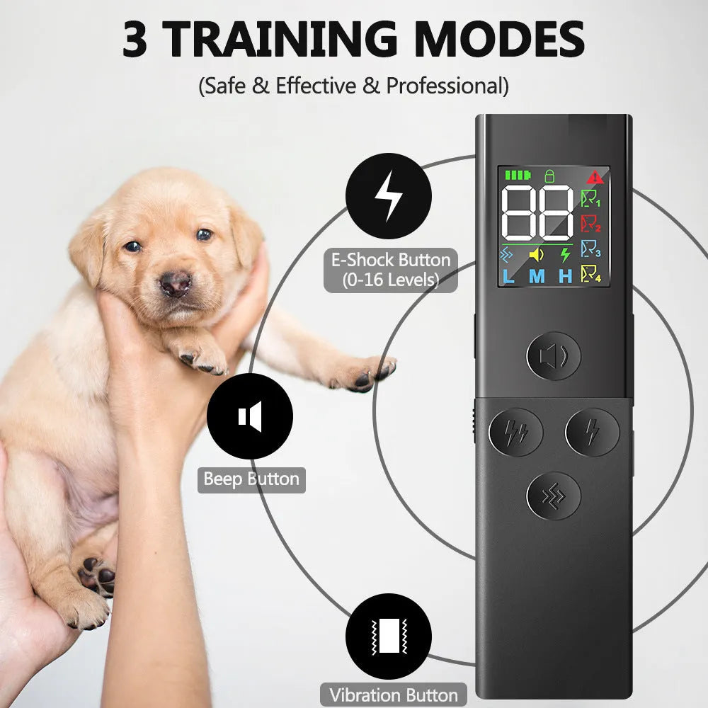 Black dog training collar with colour screen remote control and Type-C charging cable