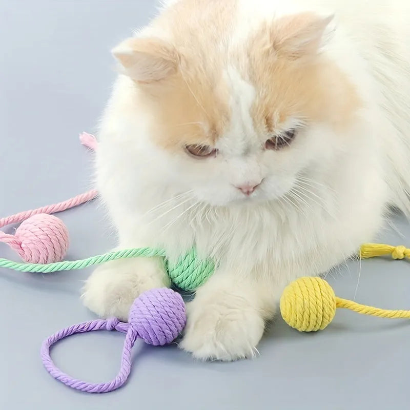 Cat toy ball with integrated rope and bell in green pink purple yellow colours