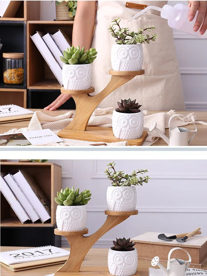 Set of three white ceramic owl planters on a bamboo tree stand for desktop display