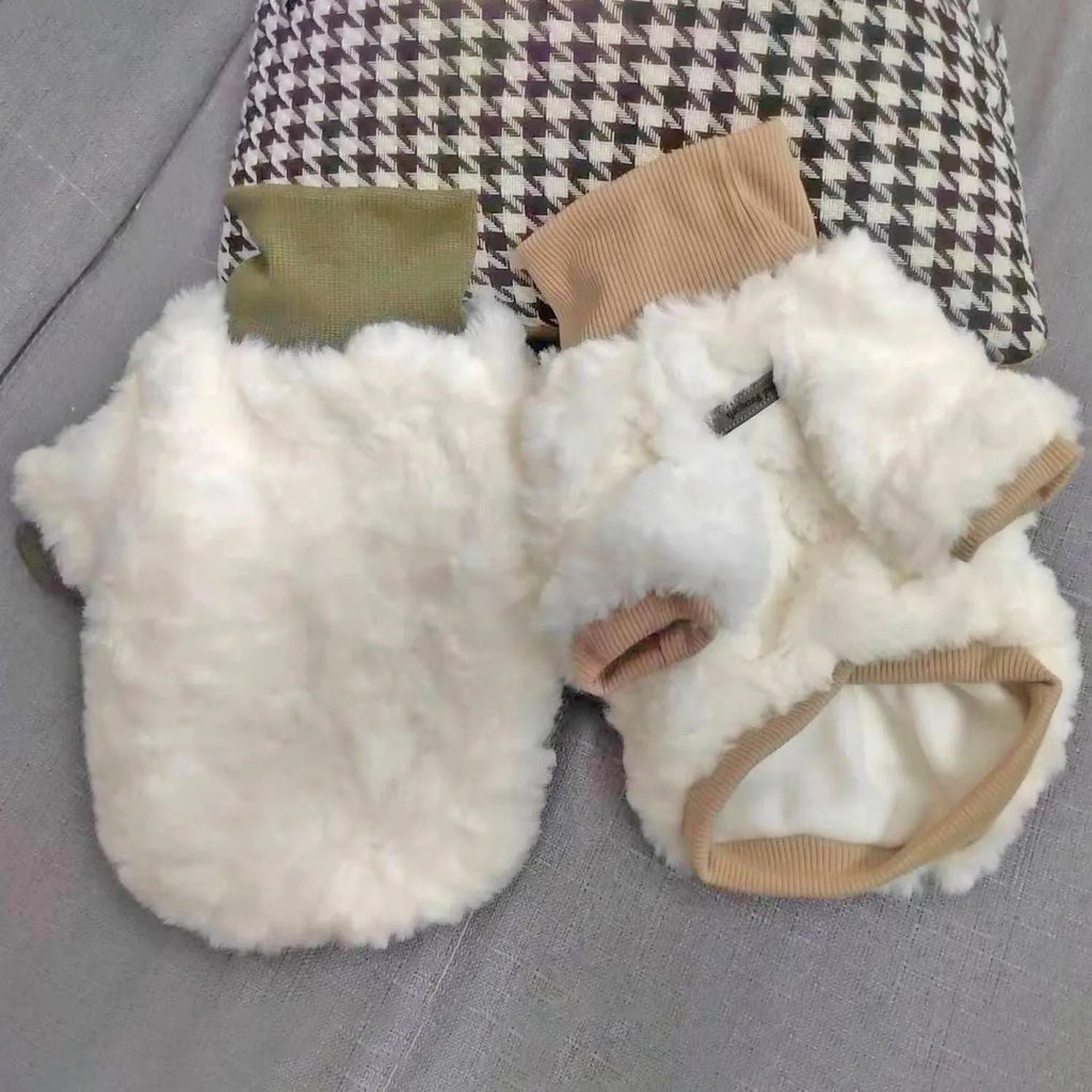 Creamy green plush dog coat with high turtleneck collar on a small dog.