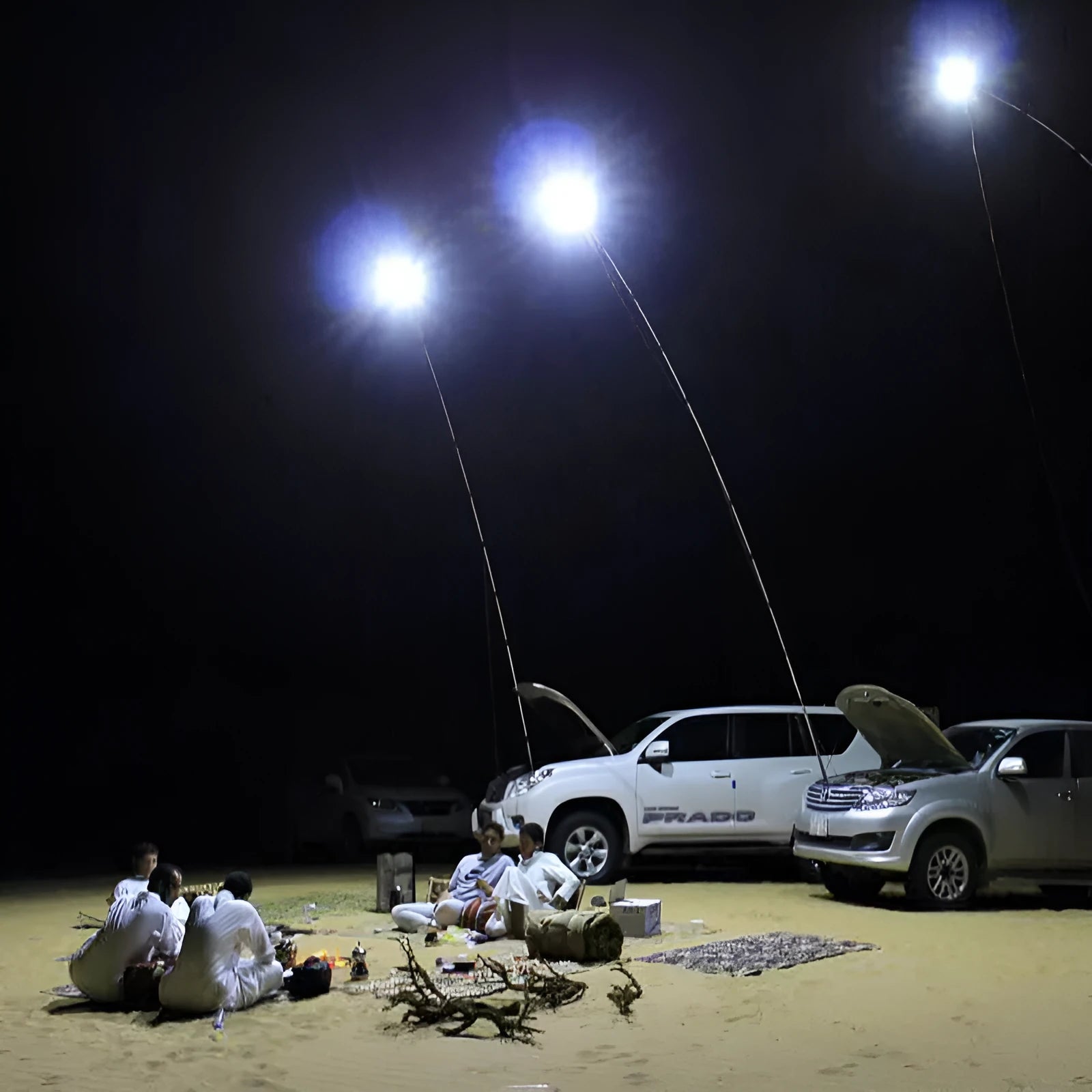 White LED fishing rod light unit mounted on a tall telescopic pole with a remote control
