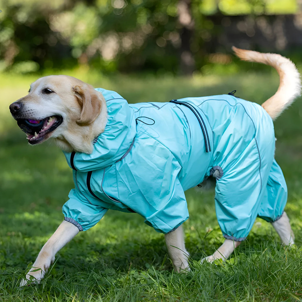 Cotton-padded dog shell jacket in four colours: red, black, light blue, and grey, shown on a model dog