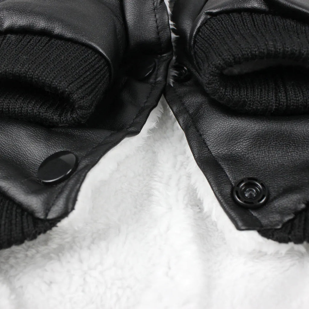 Leather dog coat with fur collar in British style, shown in black and wine red colour options