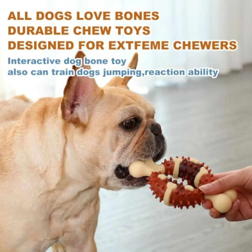 Natural rubber bone-shaped dog molar chew toy for teeth grinding in two size options