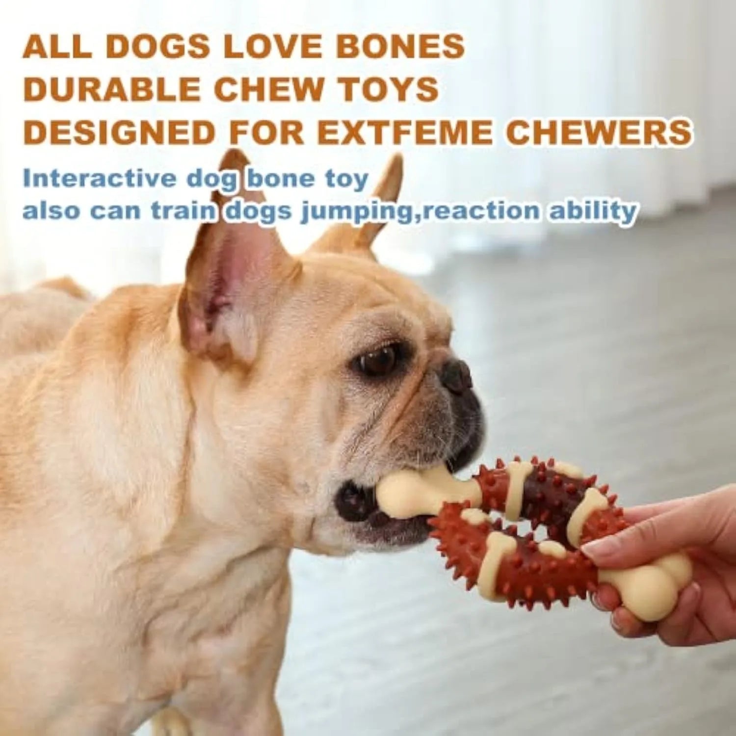 Natural rubber bone-shaped dog molar chew toy for teeth grinding in two size options