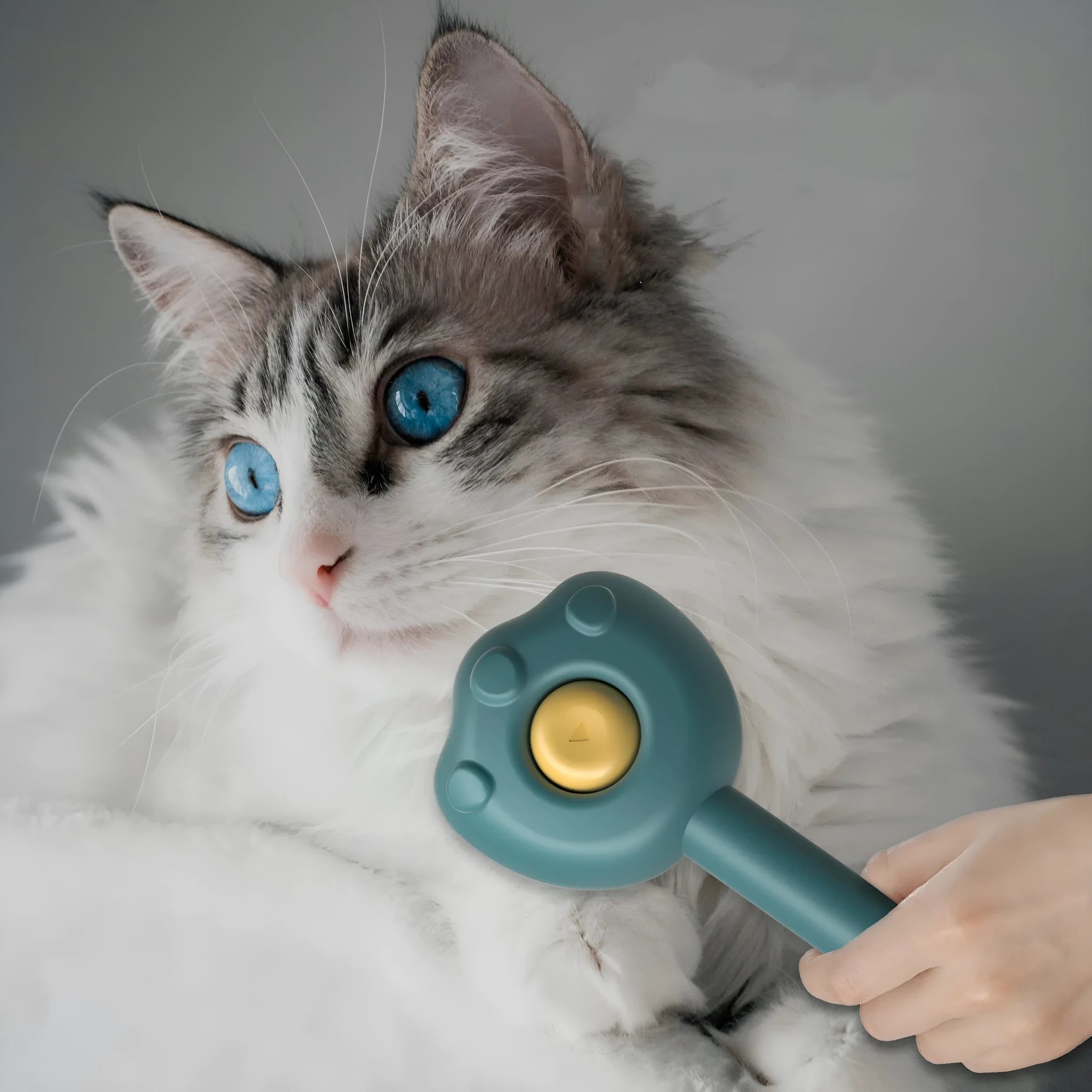 Self-cleaning pet grooming comb with blue handle for cat hair removal