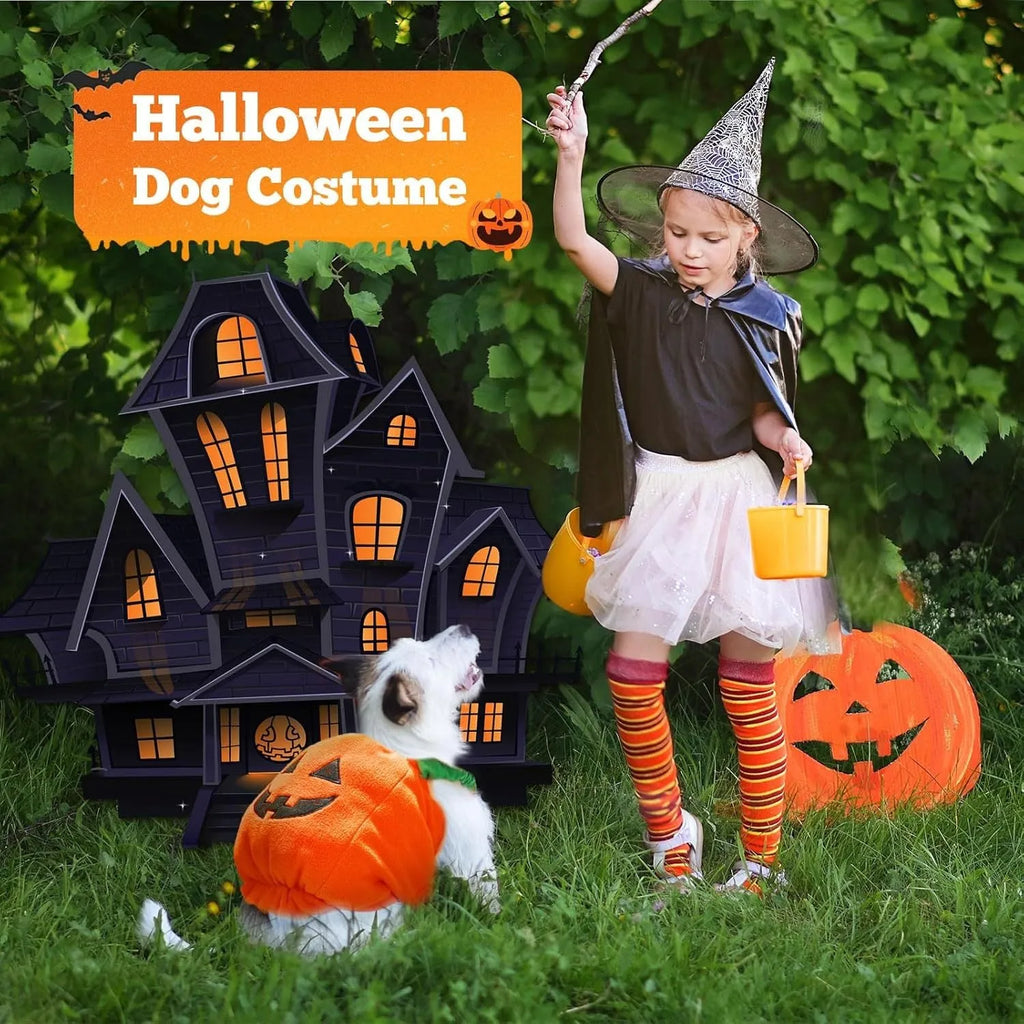 Orange plush pumpkin Halloween costume on small dog with pullover design