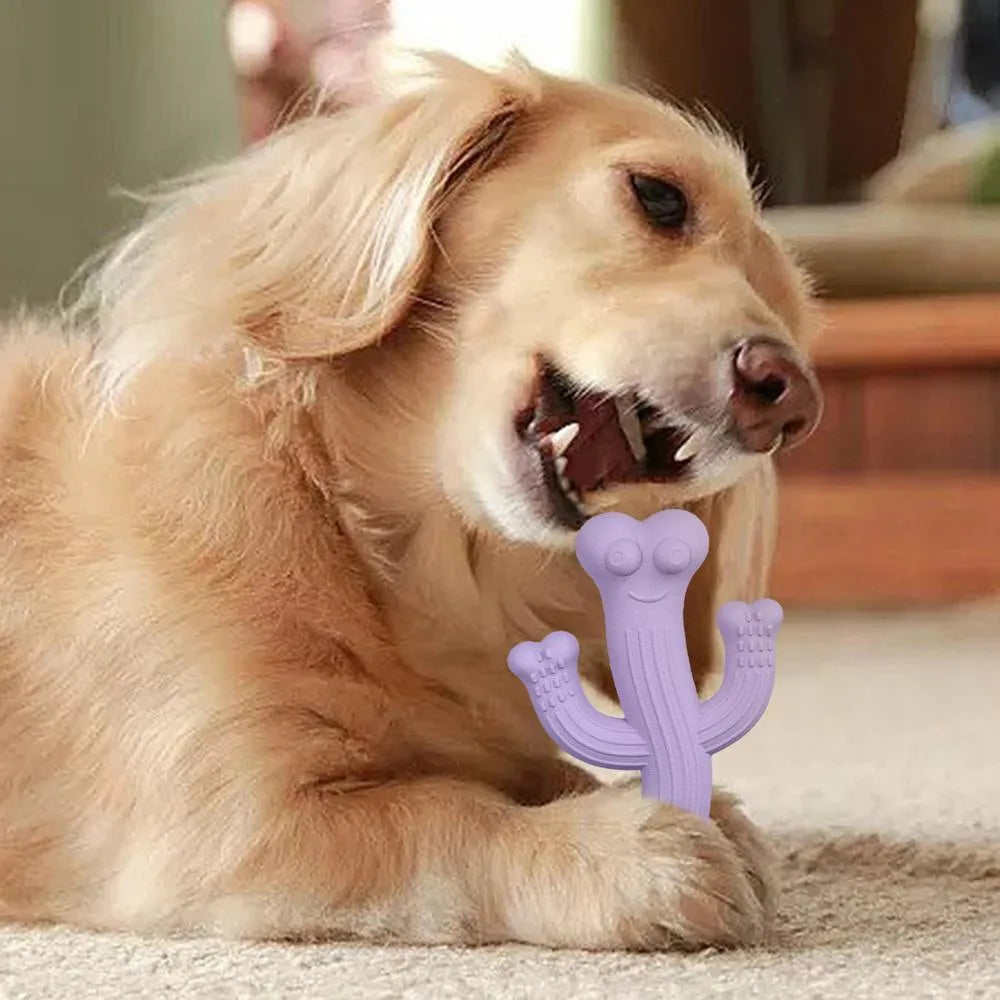 Beige, blue, or purple cactus-shaped dog chew toy made from bamboo fibre and rubber.