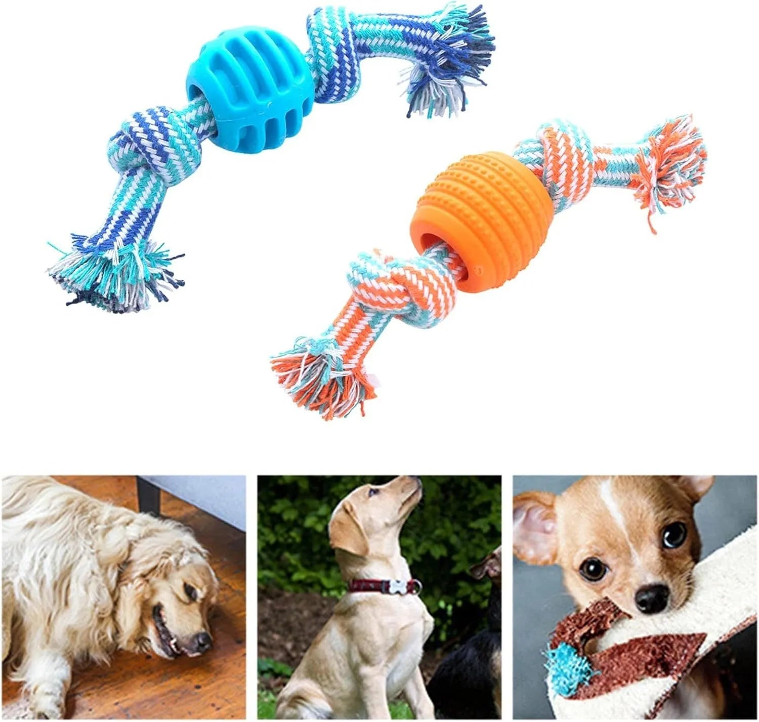 Blue dog molar chew toy with white cotton rope ends for dental cleaning and interactive play
