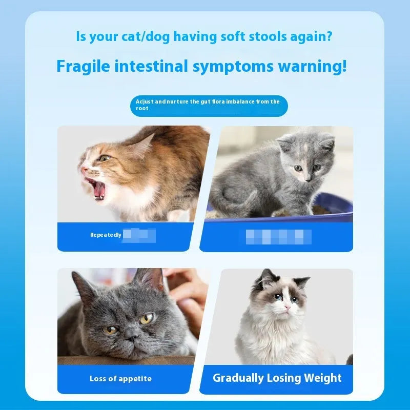 Bottle of Pet Active Probiotic Tablets containing 180 chewable tablets for pet health.