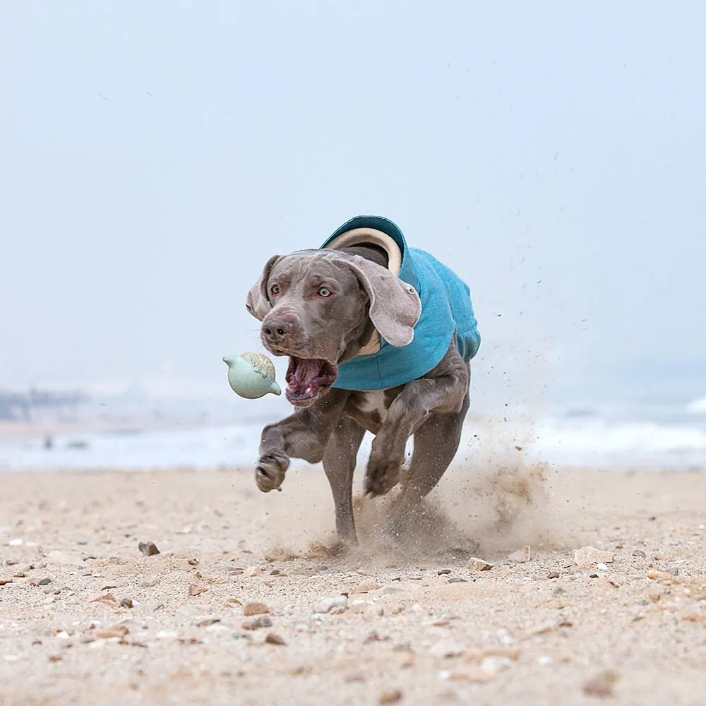 Polyester dog clothing vest in rose red, light blue, or grey colours for medium-large dogs