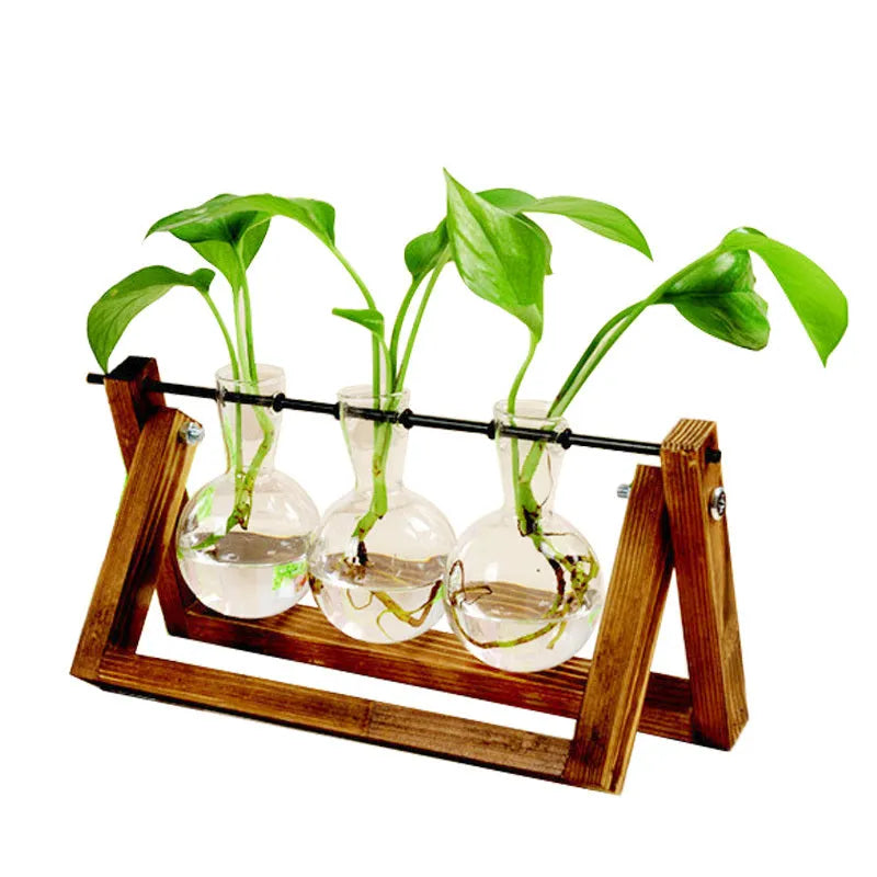 Wooden swing stand hydroponic container with borosilicate glass vase displaying plants