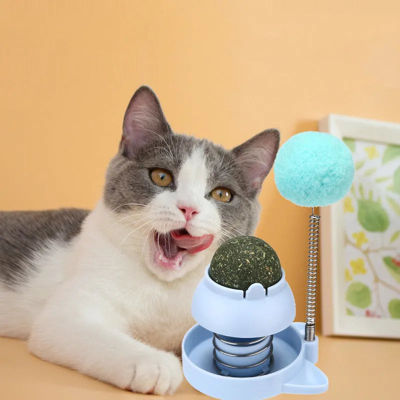 55mm mint-scented cat toy with music features in blue, orange, or pink colours