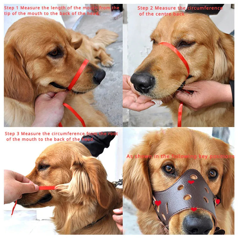 Black dog muzzle with silencer function for barking control and bite prevention on golden retriever