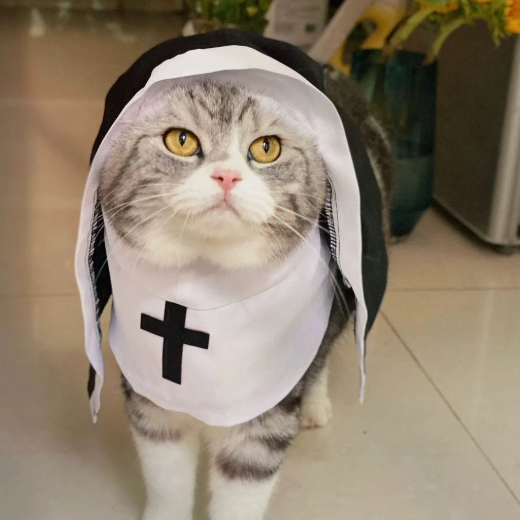 Black and white nun cloak costume on a small dog for Halloween.