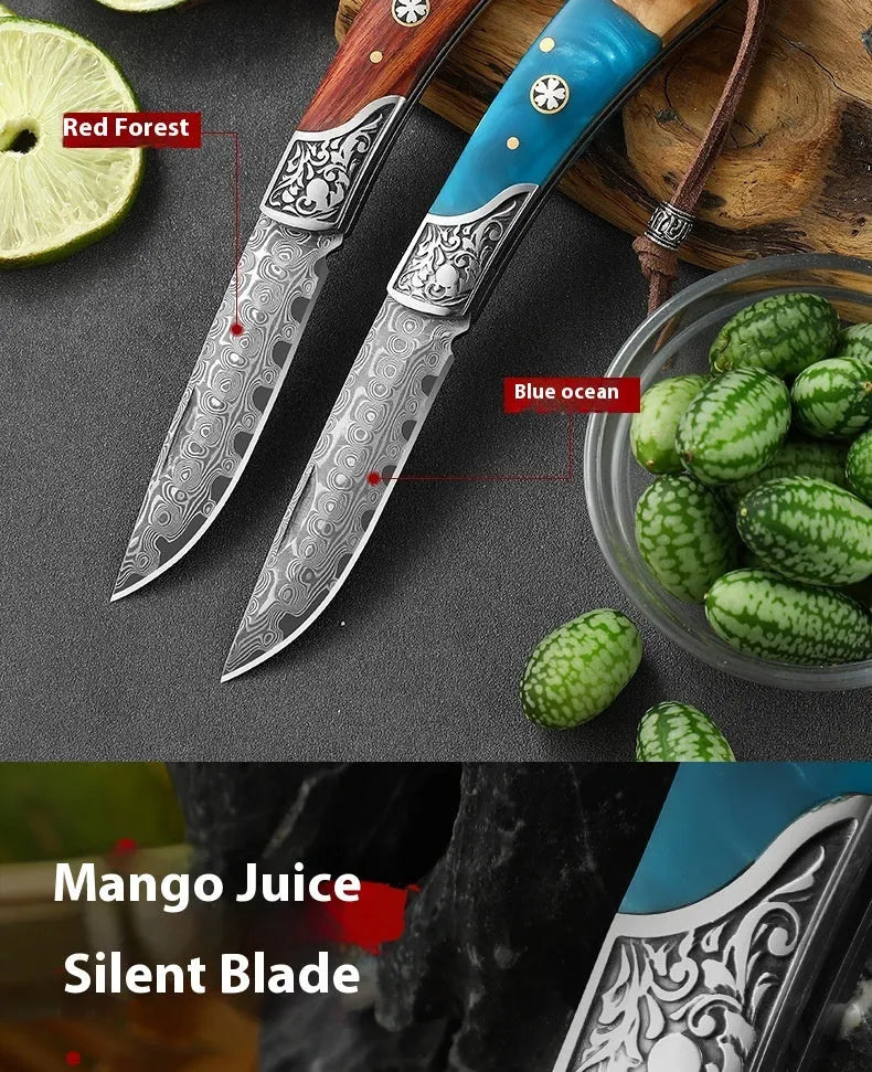 VG10 stainless steel folding portable knife in blue or red handmade national style