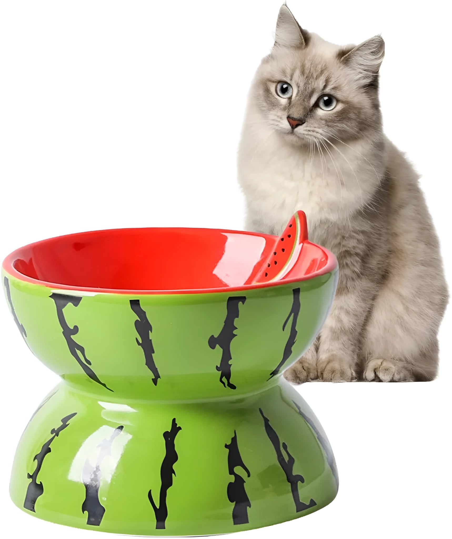 Ceramic raised cat bowl with tilted design in orange pattern, showing elevated feeding station for pets