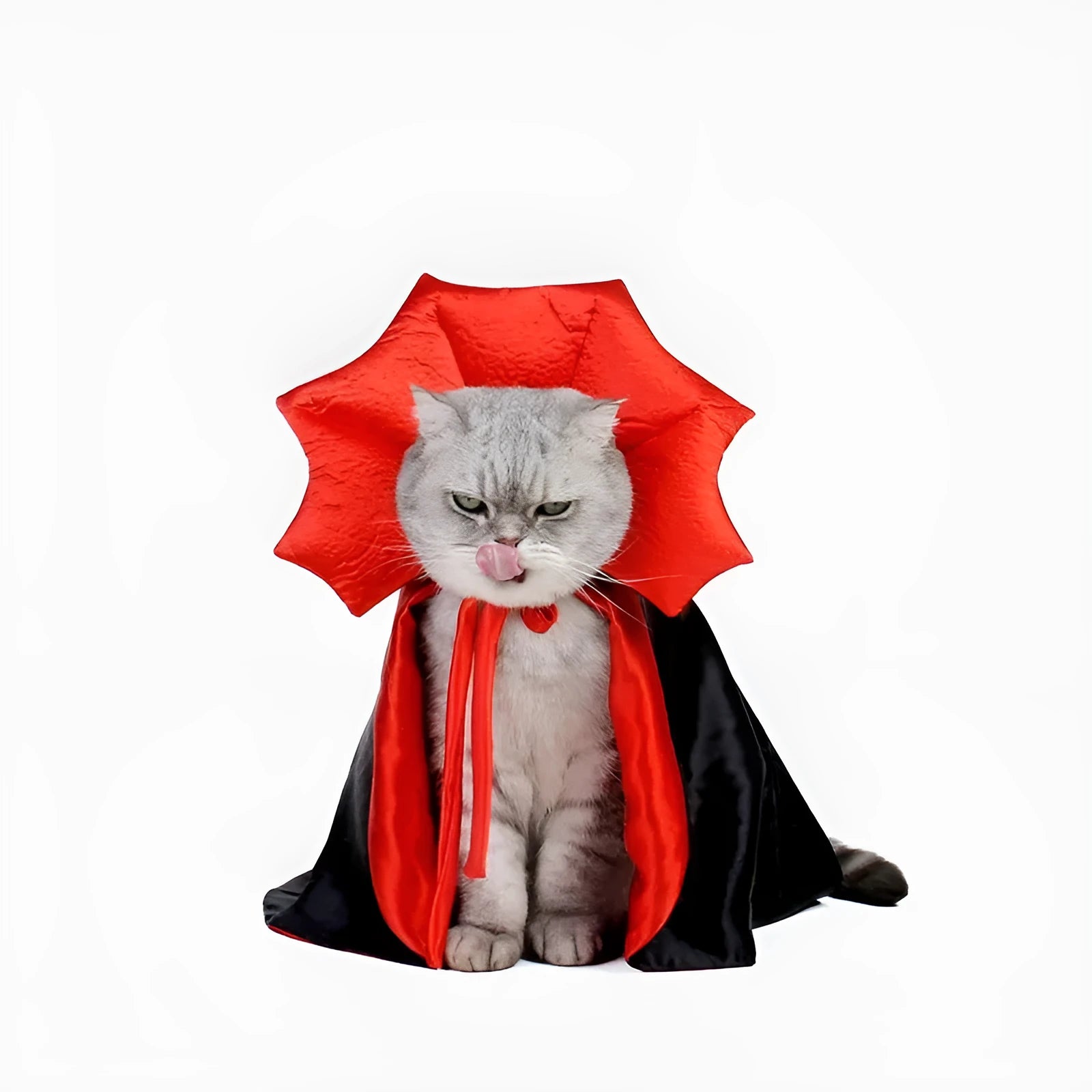 Halloween vampire cloak costume for small pets on mannequin showing kawaii design elements