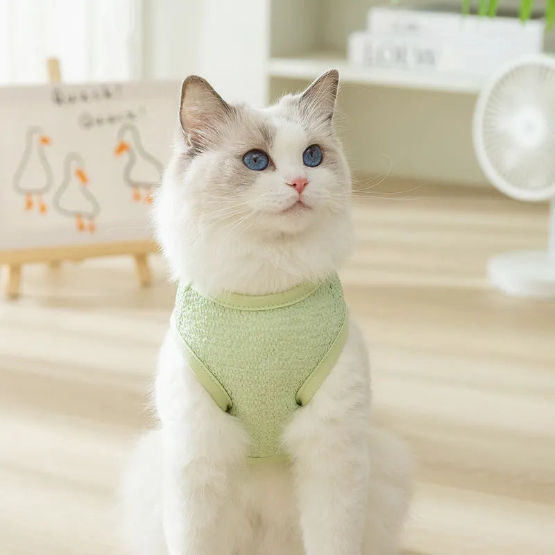 Hollowed-out knitted cat clothes with bear patch in blue, green, yellow colours