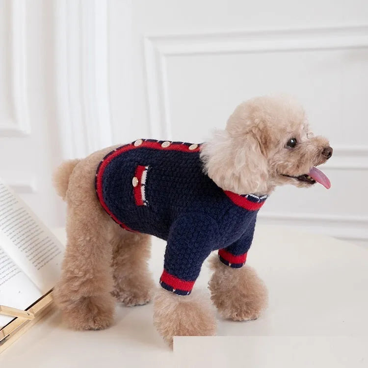Blue wool dog cardigan sweater with princess-style collar on a mannequin