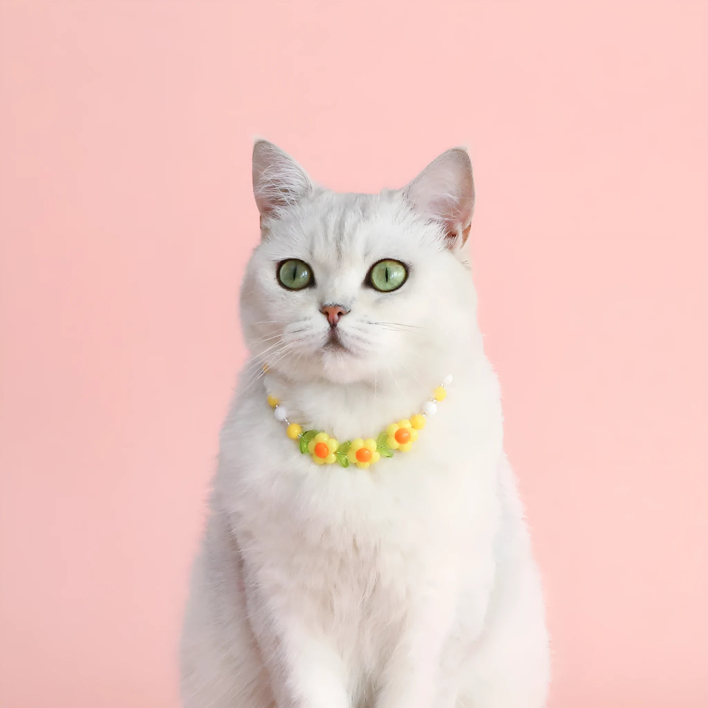 Colourful plastic bead pet necklace in peach, rainbow or small flower pattern with adjustable XS or S size options.