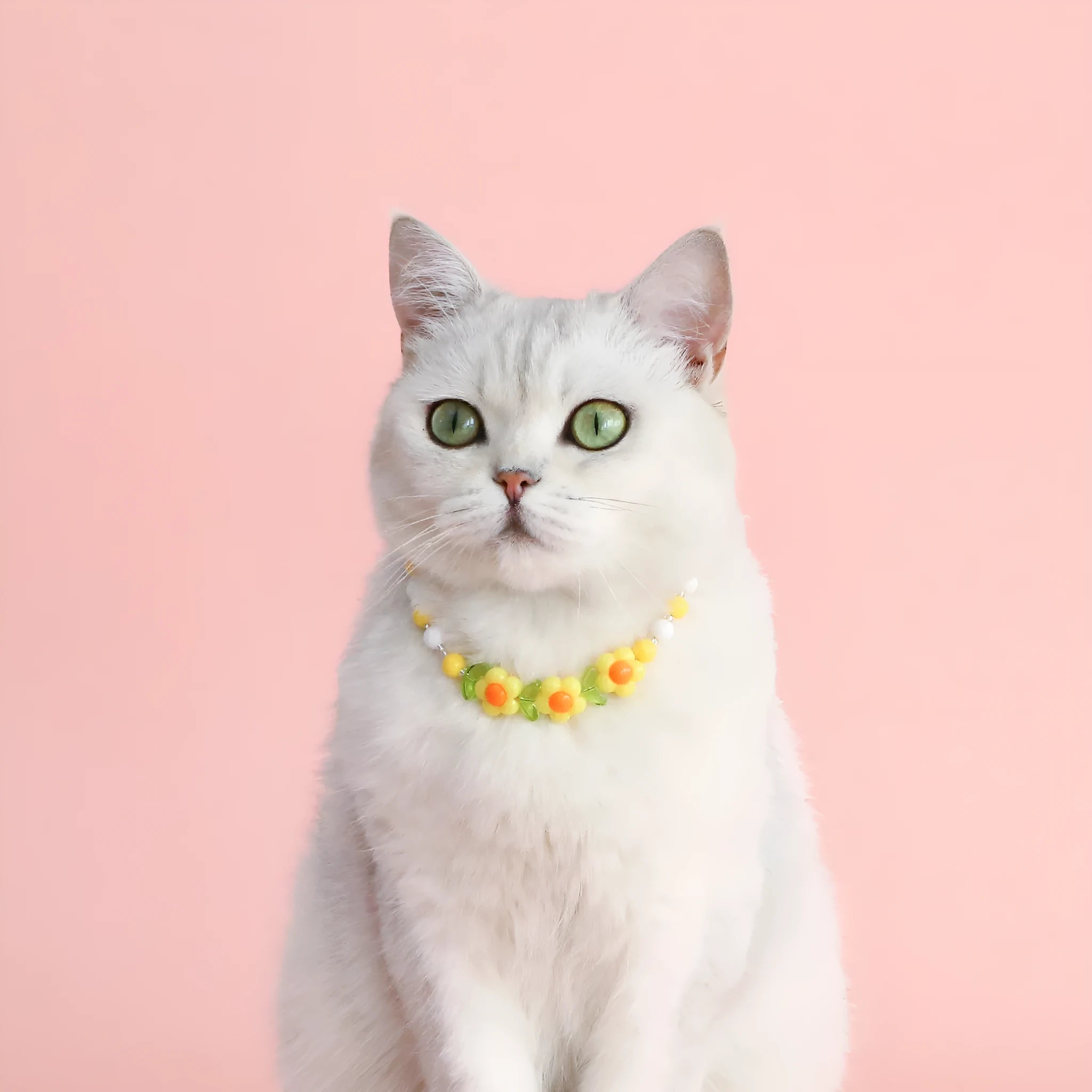 Colourful plastic bead pet necklace in peach, rainbow or small flower pattern with adjustable XS or S size options.
