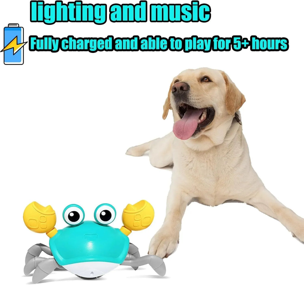 Blue or red crawling crab interactive dog toy with lights on hard floor