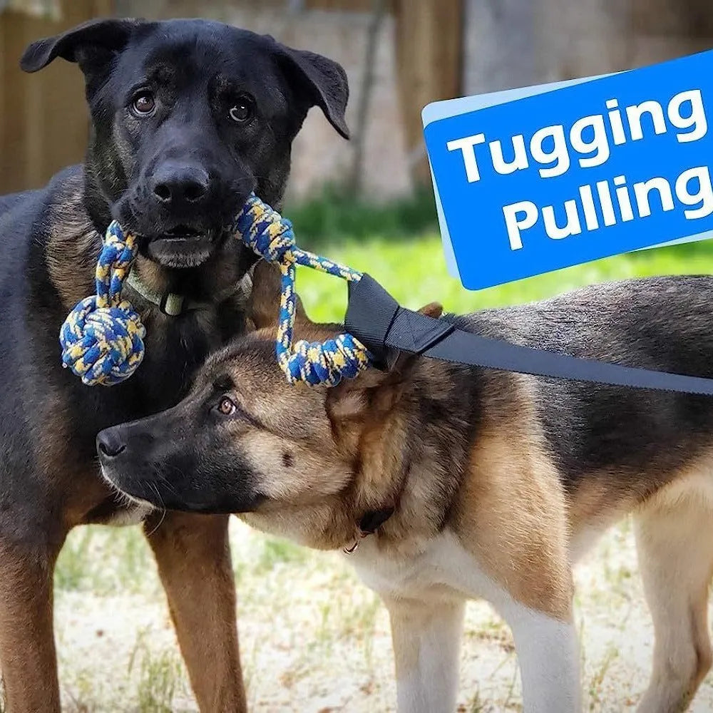 Green cotton thread dog tug rope toy with corncob design for tug-of-war.
