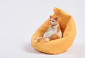 Small 7.5cm high cat model car ornament with fabric sofa on a dashboard.