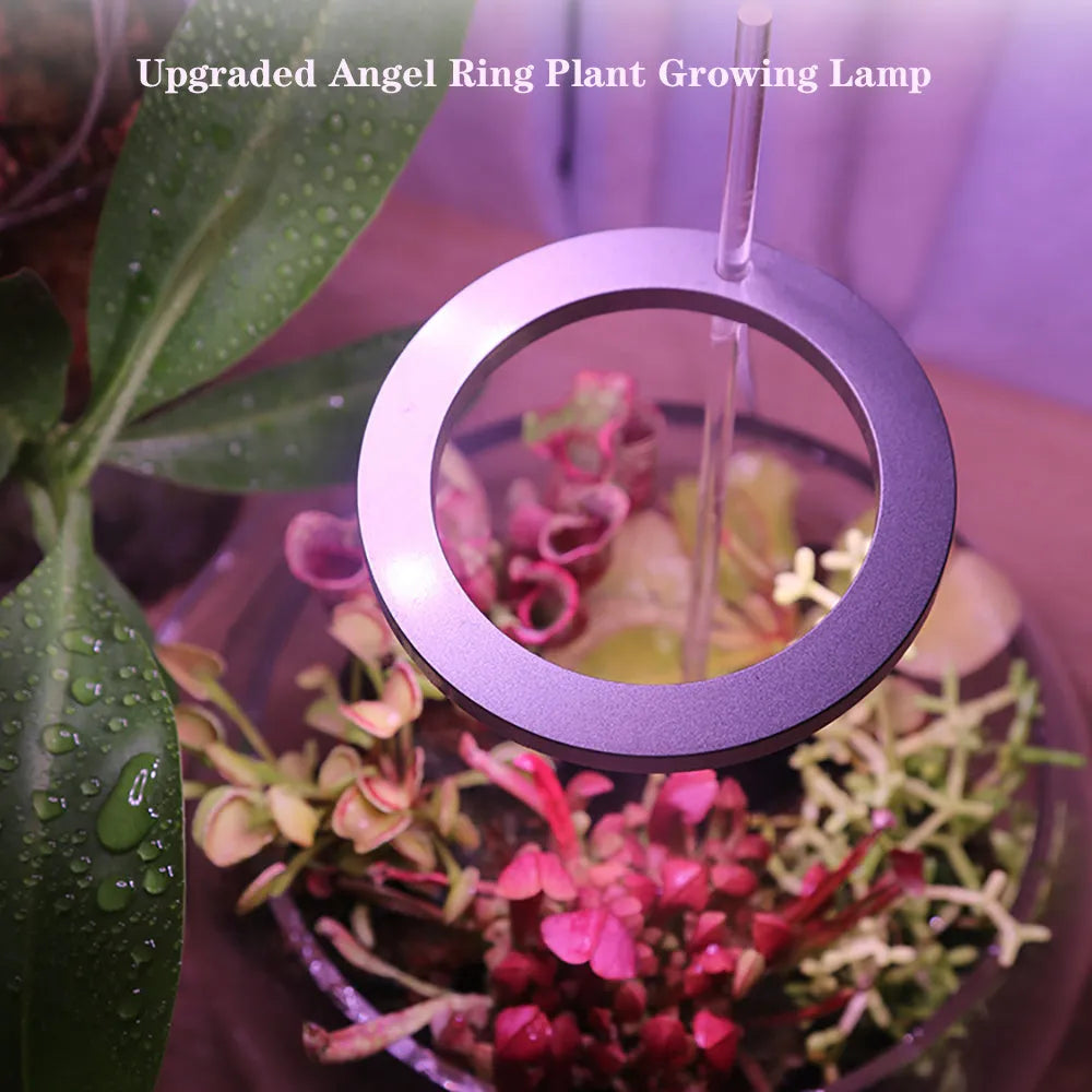 USB Angel Ring LED full spectrum grow light for indoor plants on a desk.