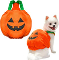 Orange plush pumpkin Halloween costume on small dog with pullover design