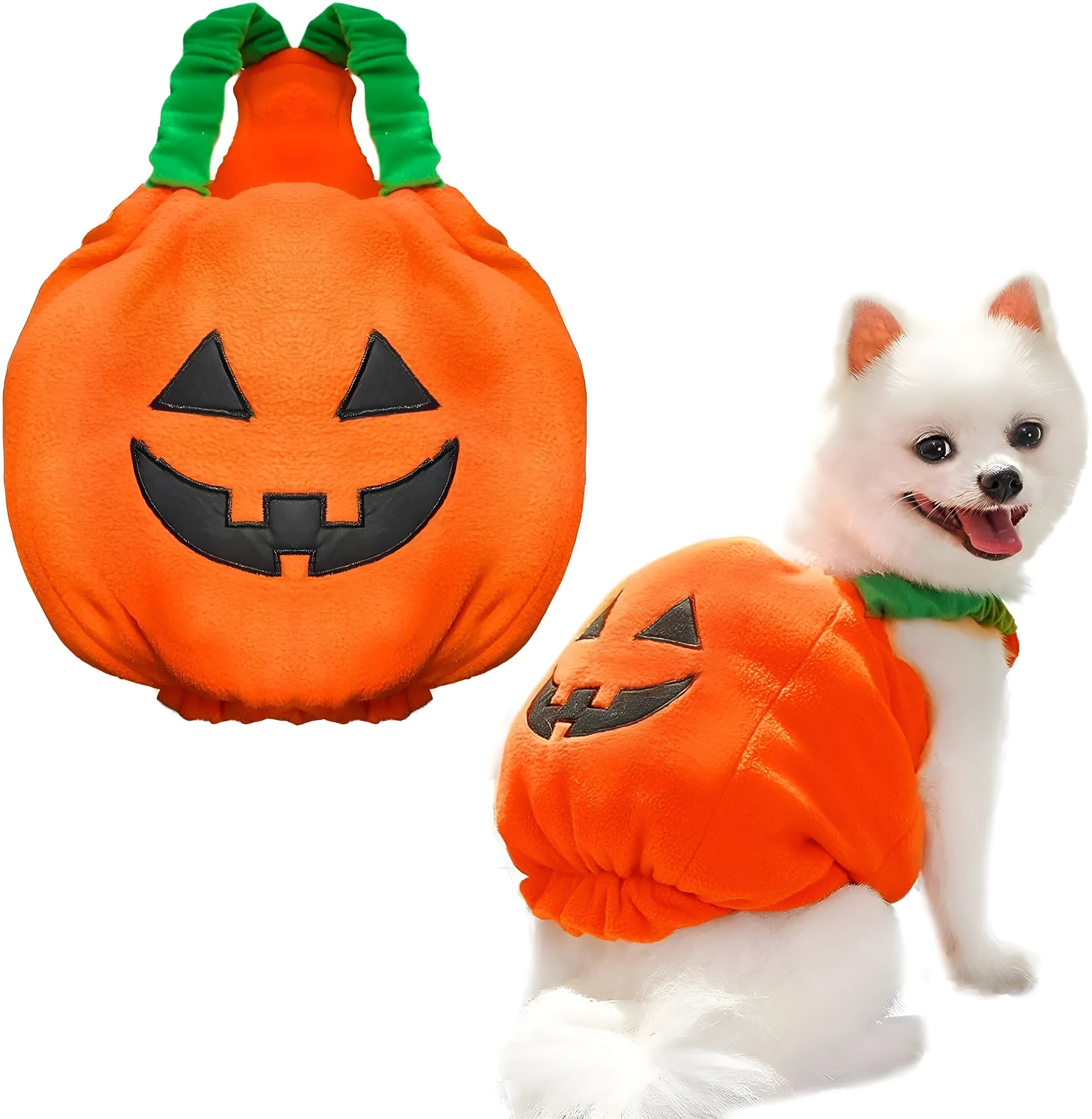 Orange plush pumpkin Halloween costume on small dog with pullover design