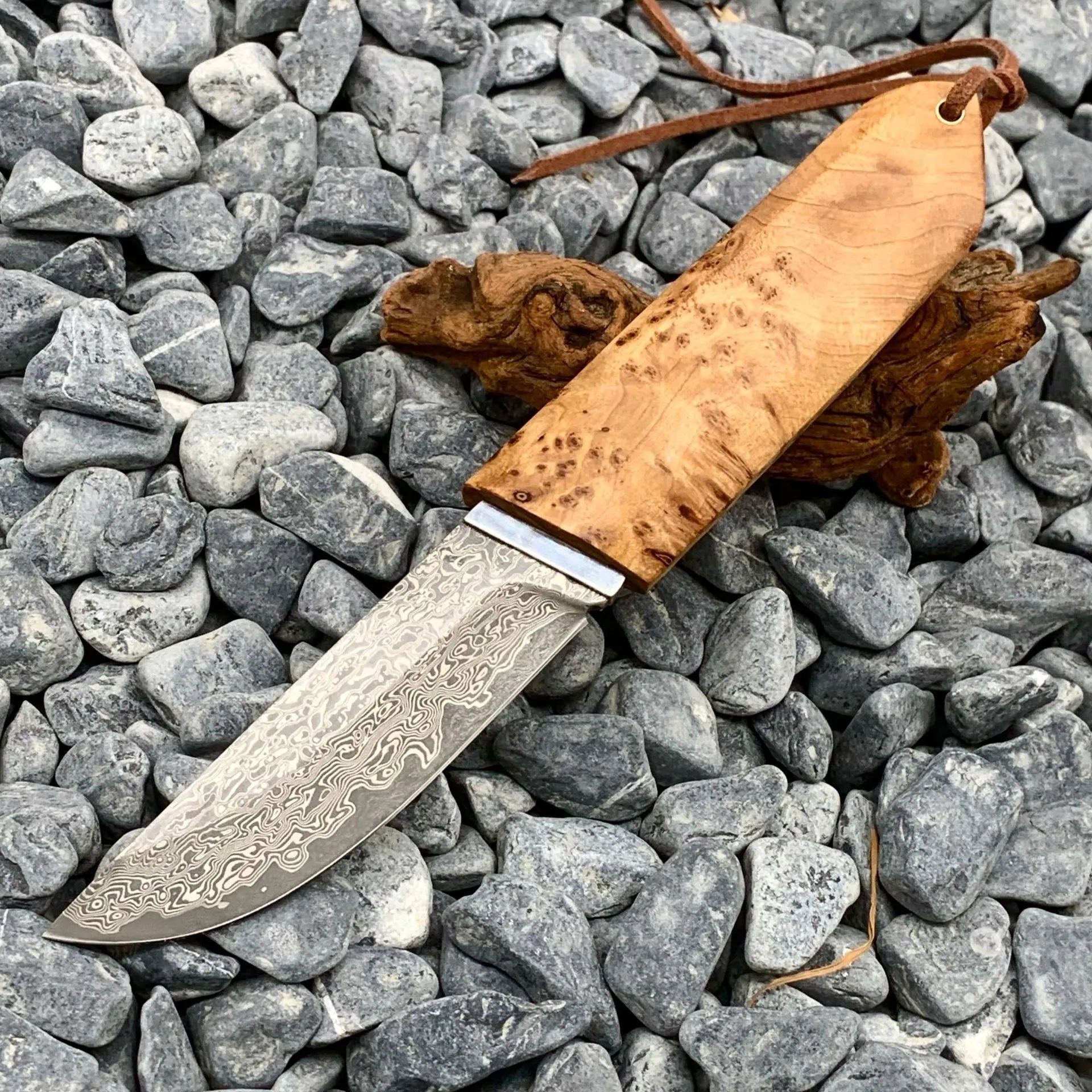 White Shadow Damascus steel short knife with Thuja wood handle, showing blade pattern.