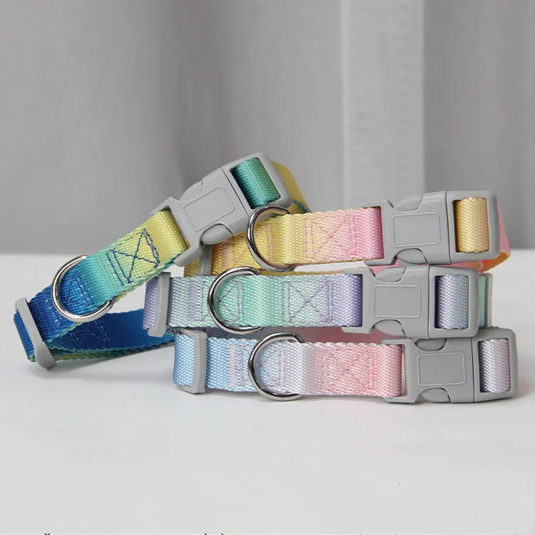 Gradient colour nylon dog leash set with collar and harness options for small medium dogs.