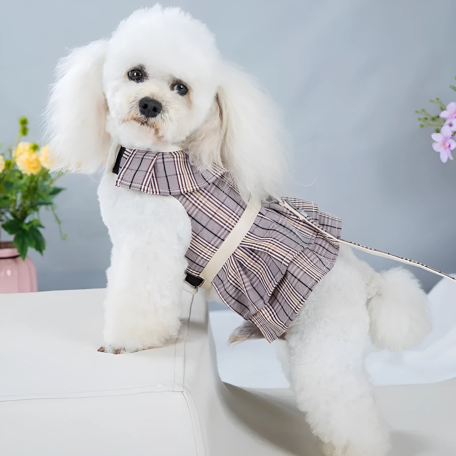 Polyester dog harness vest with chest strap and attached hand-holding rope in beige colour