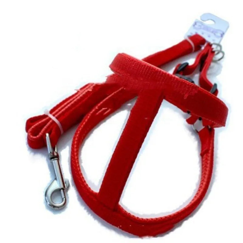 Blue nylon dog harness with soft foam lining on the chest strap, showing adjustable sizing.
